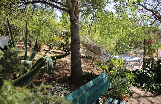 Casa das Moles - Photo 16