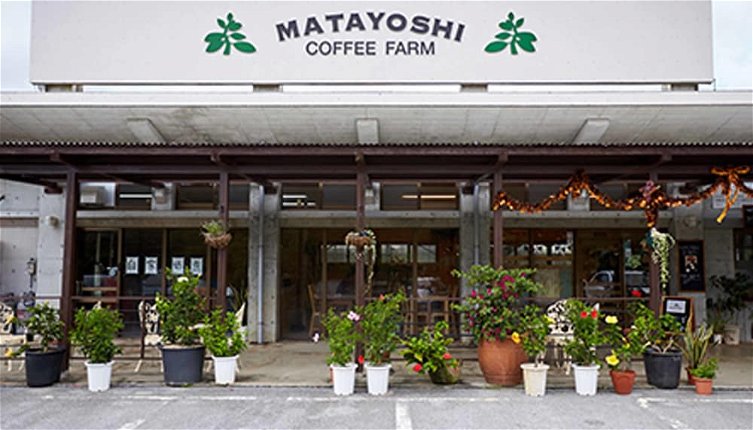 Foto 1 - Matayoshi Coffee Farm