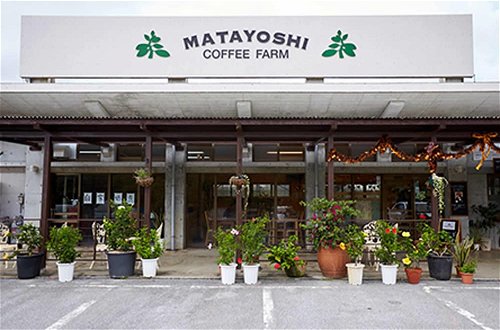 Foto 1 - Matayoshi Coffee Farm