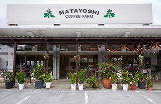 Foto 1 - Matayoshi Coffee Farm