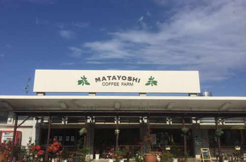 Photo 25 - Matayoshi Coffee Farm