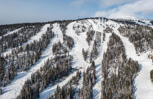 Raven's Nest - Luxury Pet Friendly Condo w/ Private Hot Tub & Mountain Views - Foto 31