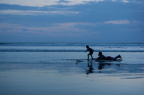 Photo 60 - Samaja Beachside Villas