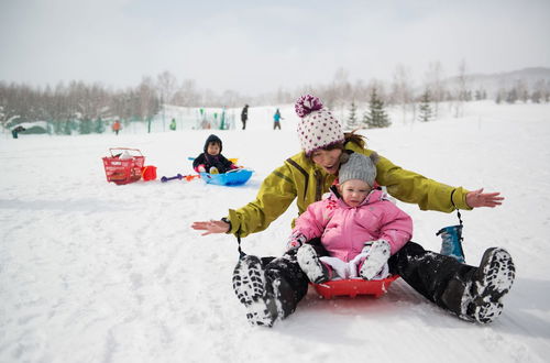 Photo 24 - Kasara Niseko Village Townhouse