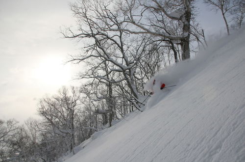 Photo 22 - Kasara Niseko Village Townhouse