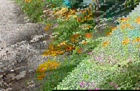 Just Like Natural Home Pension - Photo 52