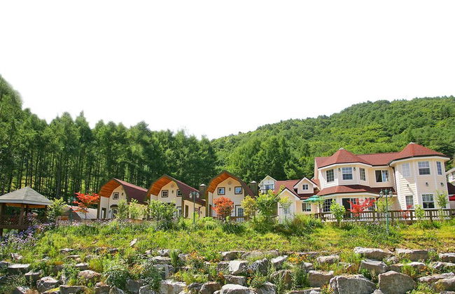 Just Like Natural Home Pension - Photo 56