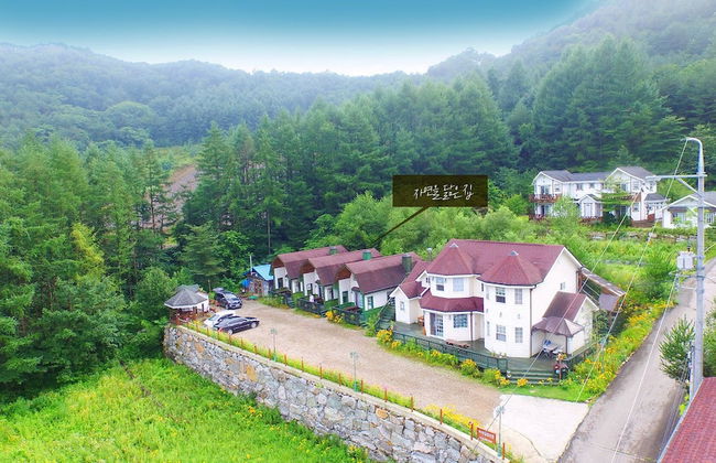 Just Like Natural Home Pension - Photo 57