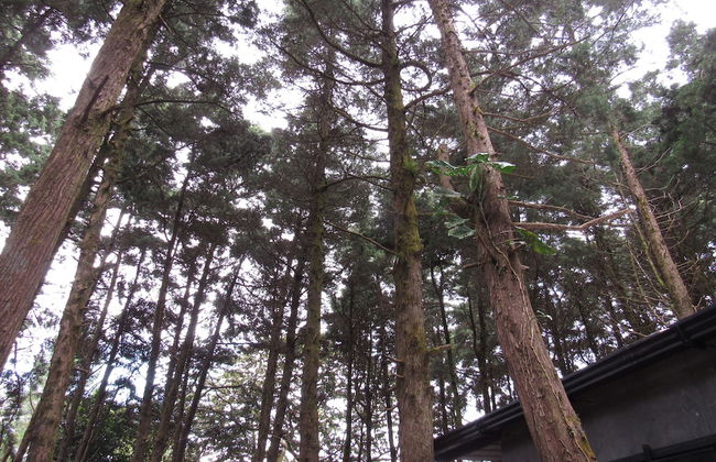 Ataco Luxury Cabin - Photo 7