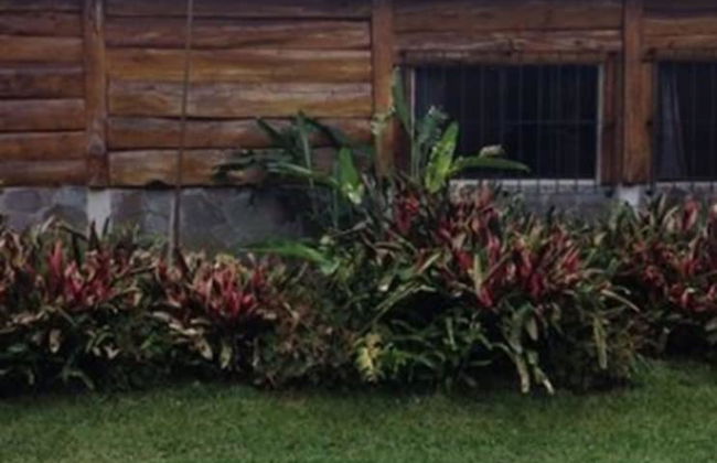 Ataco Luxury Cabin - Photo 14