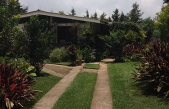 Ataco Luxury Cabin - Photo 15