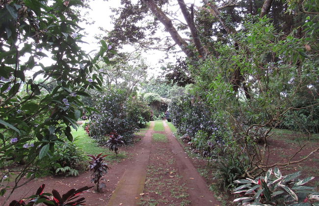 Ataco Luxury Cabin - Photo 11