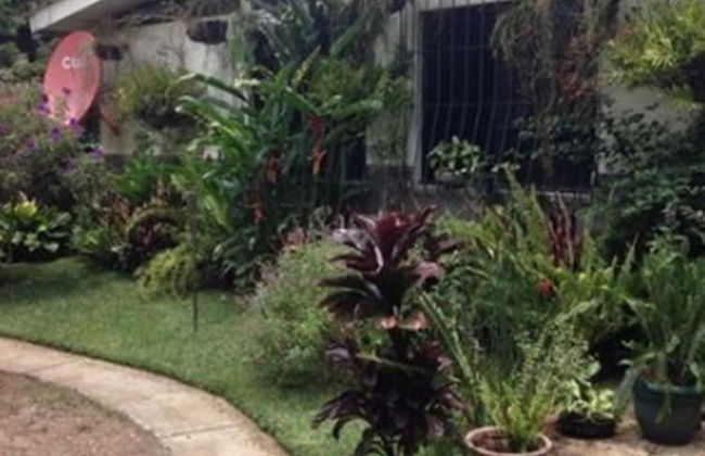 Ataco Luxury Cabin - Photo 10