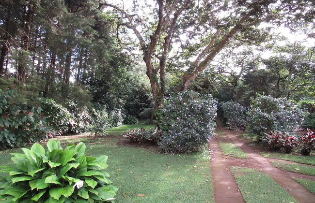 Ataco Luxury Cabin - Photo 8