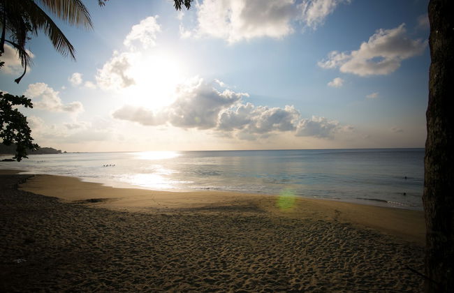 Robbie's Place Tobago - Foto 35