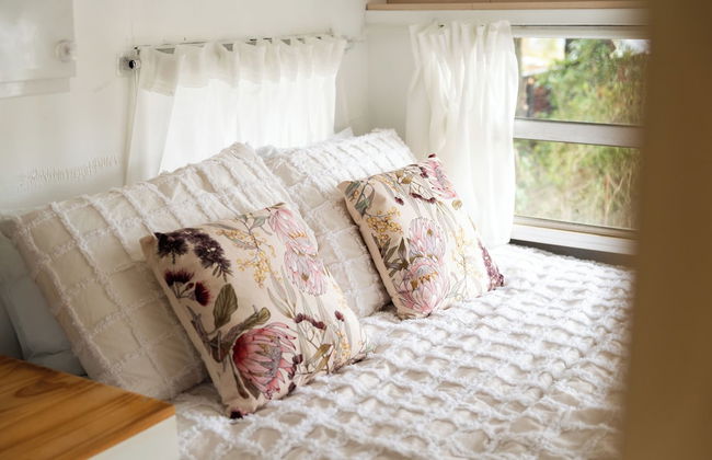 Montblu at Echo Point - Photo 33