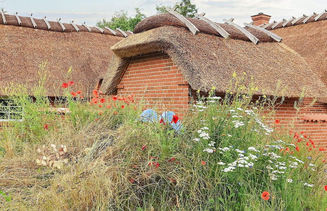 12 Person Holiday Home in Vaeggerlose - Foto 28