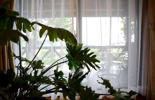 Kawaguchiko country cottage Ban - Foto 32