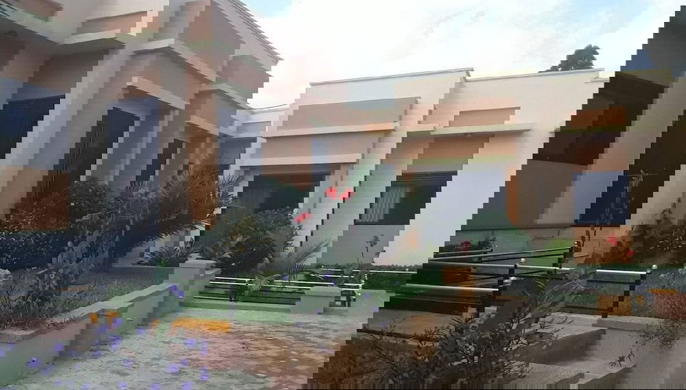 Imagem principal