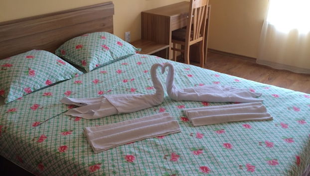 Quarto