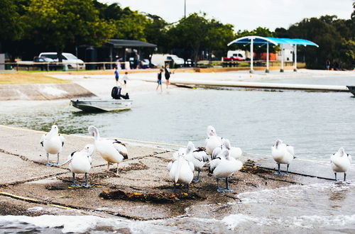 Photo 10 - Jacobs Well Tourist Park