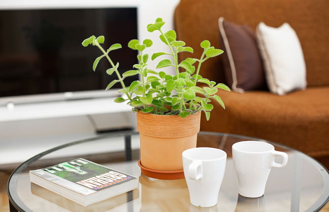 Apartment Kakowskiego Warsaw by Renters - Foto 12