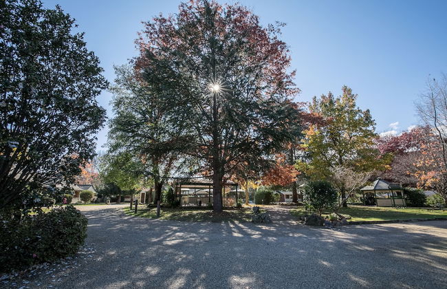 The Birch House - Silver Birches - Foto 25