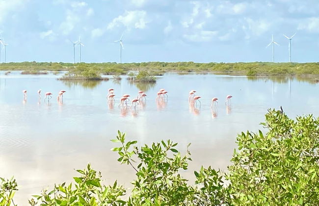 Entire House on the Seashore in Chicxulub Puerto, Yuc, Riviera Yucateca Mex - Foto 47