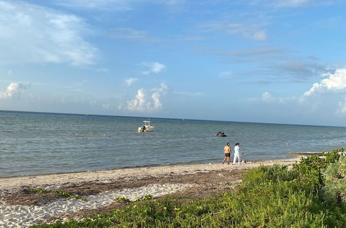 Photo 42 - Entire House on the Seashore in Chicxulub Puerto, Yuc, Riviera Yucateca Mex