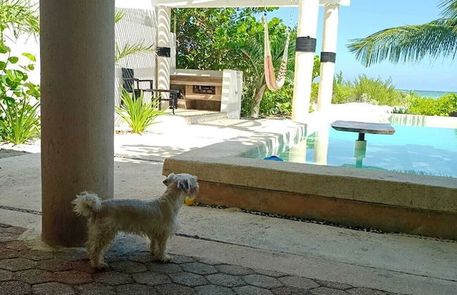 Entire House on the Seashore in Chicxulub Puerto, Yuc, Riviera Yucateca Mex - Foto 27