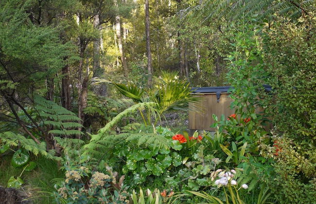 Bay of Islands Holiday Apartments - Foto 50
