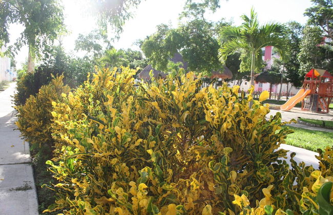 Apartments Paraiso Maya 19-b - Foto 47