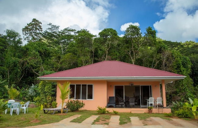 Alha Villa - Foto 19