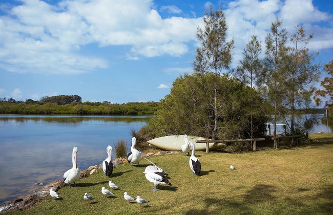 Stuarts Point Holiday Park - Photo 27