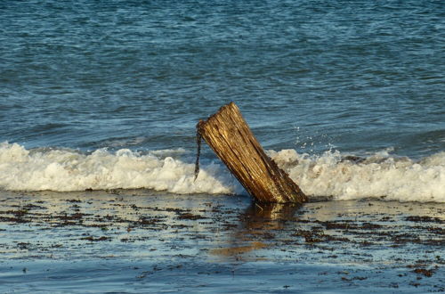 Photo 29 - Holiday Lifestyle Henty Bay Portland