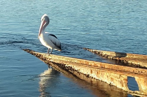 Photo 18 - The Peninsular Merimbula