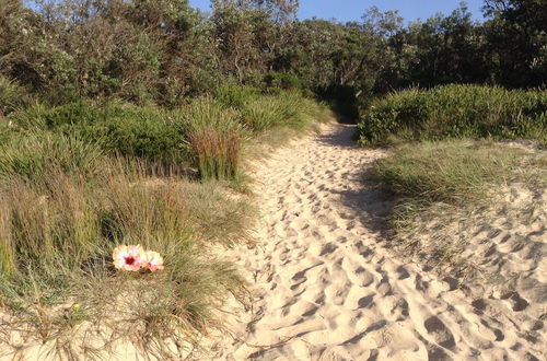 Photo 12 - The Peninsular Merimbula