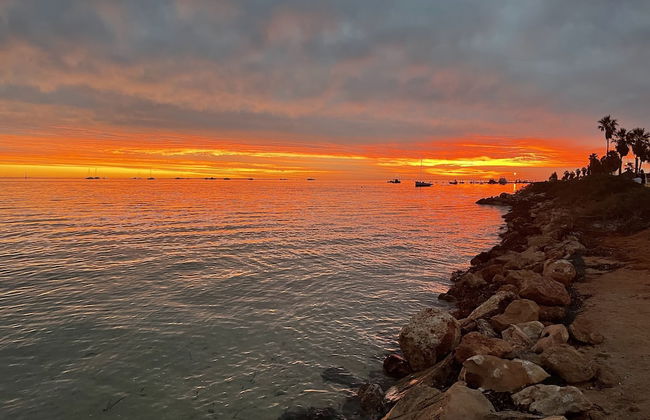 Shark Bay Seafront Apartments - Foto 69