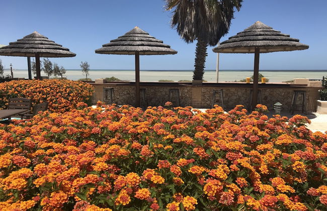 Shark Bay Seafront Apartments - Foto 58