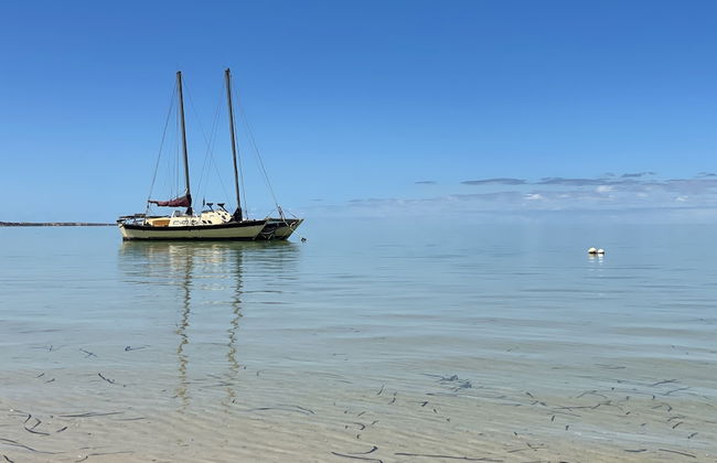 Shark Bay Seafront Apartments - Foto 43