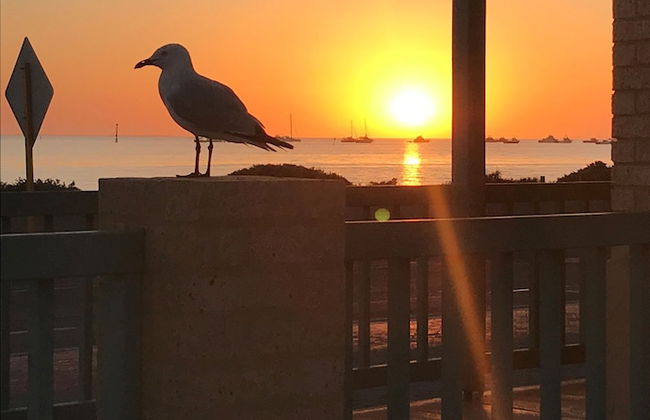 Shark Bay Seafront Apartments - Foto 63