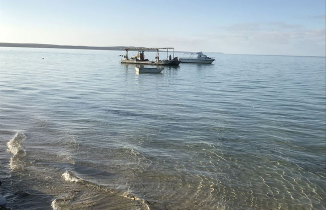 Shark Bay Seafront Apartments - Foto 47