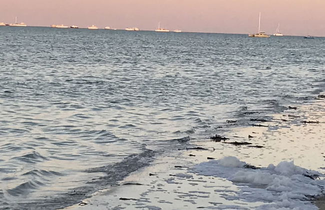 Shark Bay Seafront Apartments - Foto 64