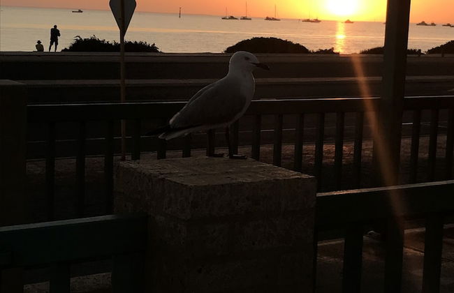 Shark Bay Seafront Apartments - Foto 45