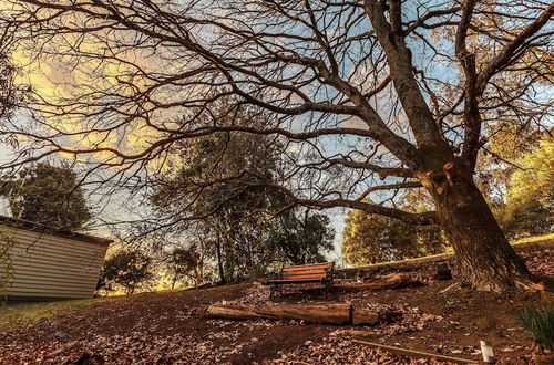 Photo 41 - The Cottages at Hepburn Springs