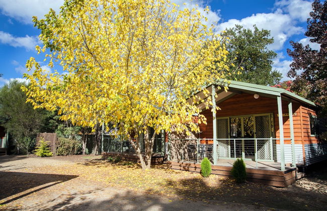 Big4 Tasman Holiday Parks - Bright - Foto 3