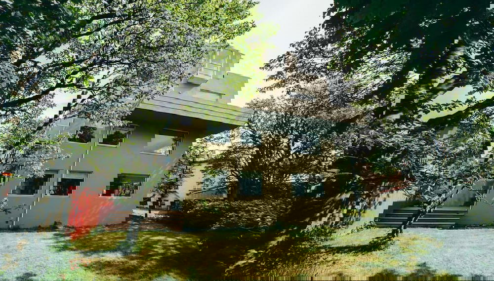 Imagem principal