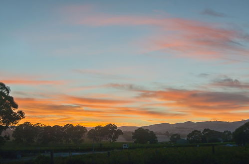 Photo 50 - Barossa Shiraz Estate