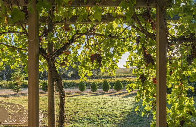 Barossa Shiraz Estate - Foto 35