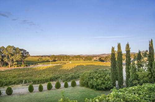 Photo 47 - Barossa Shiraz Estate